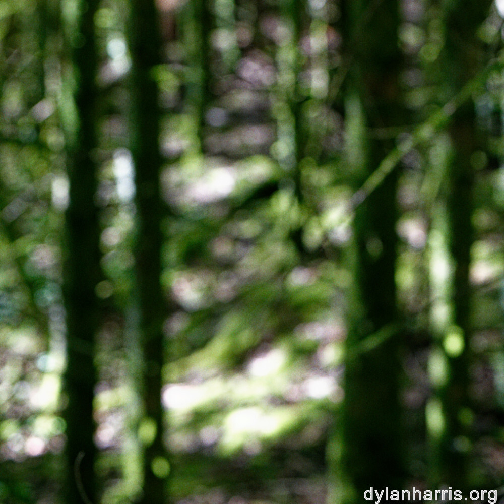 image: This is &lsquo;belvaux (v) 2&rsquo;.