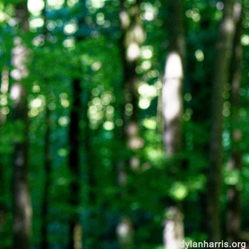 image: This is &lsquo;belvaux (v) 3&rsquo;.