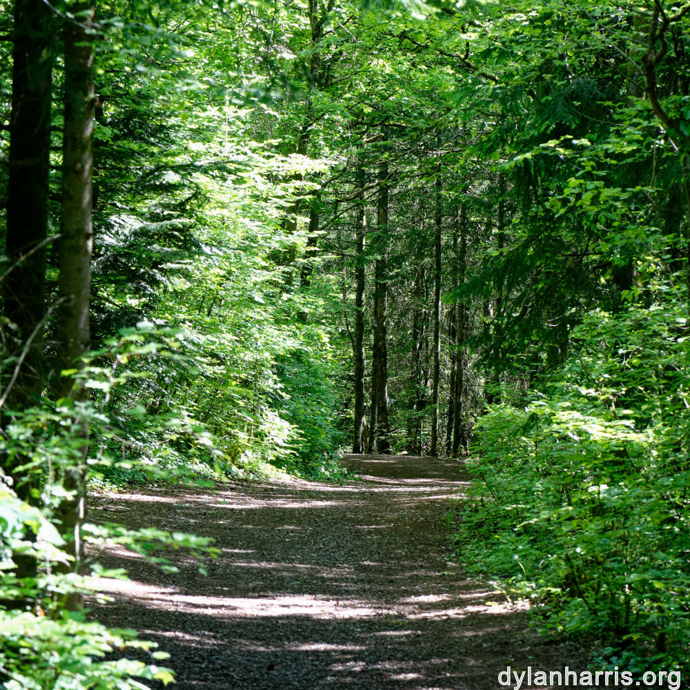 image: This is &lsquo;belvaux (v) 5&rsquo;.