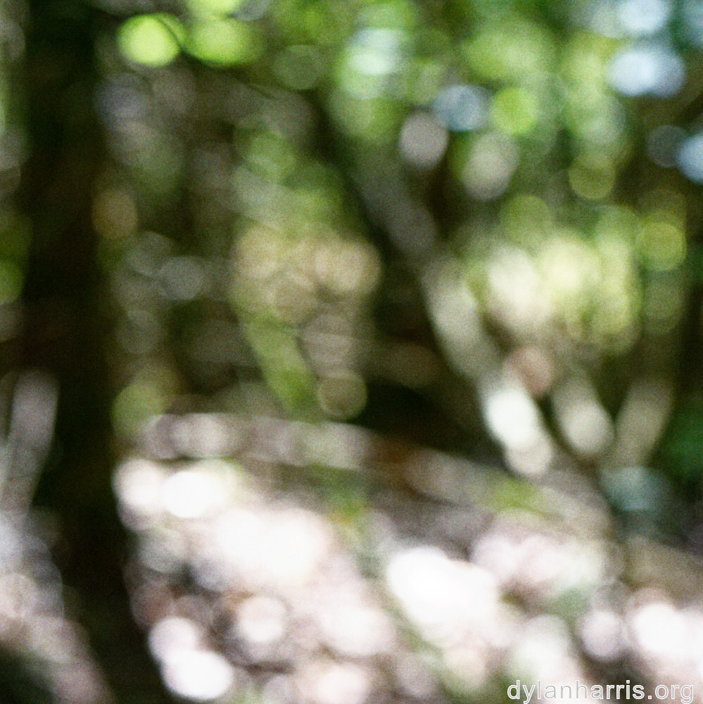 image: This is &lsquo;belvaux (v) 6&rsquo;.