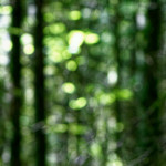 image: Image from the photoset &lsquo;belvaux (v)&rsquo;.