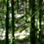 image: Image from the photoset &lsquo;belvaux (v)&rsquo;.