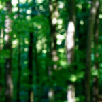 image: Image from the photoset &lsquo;belvaux (v)&rsquo;.