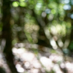 image: Image from the photoset &lsquo;belvaux (v)&rsquo;.