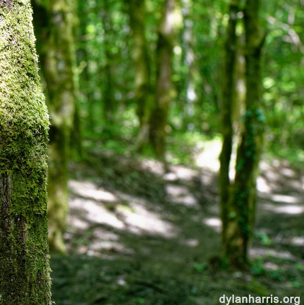 image: This is &lsquo;belvaux (vi) 4&rsquo;.