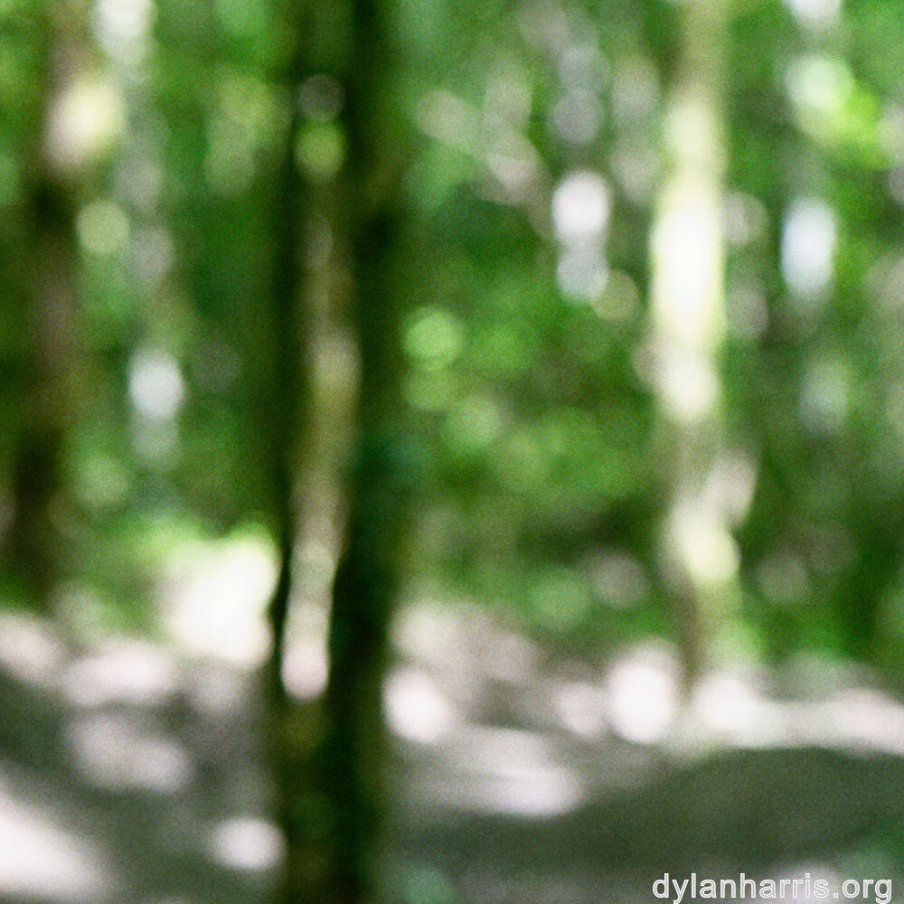 image: This is &lsquo;belvaux (vi) 5&rsquo;.