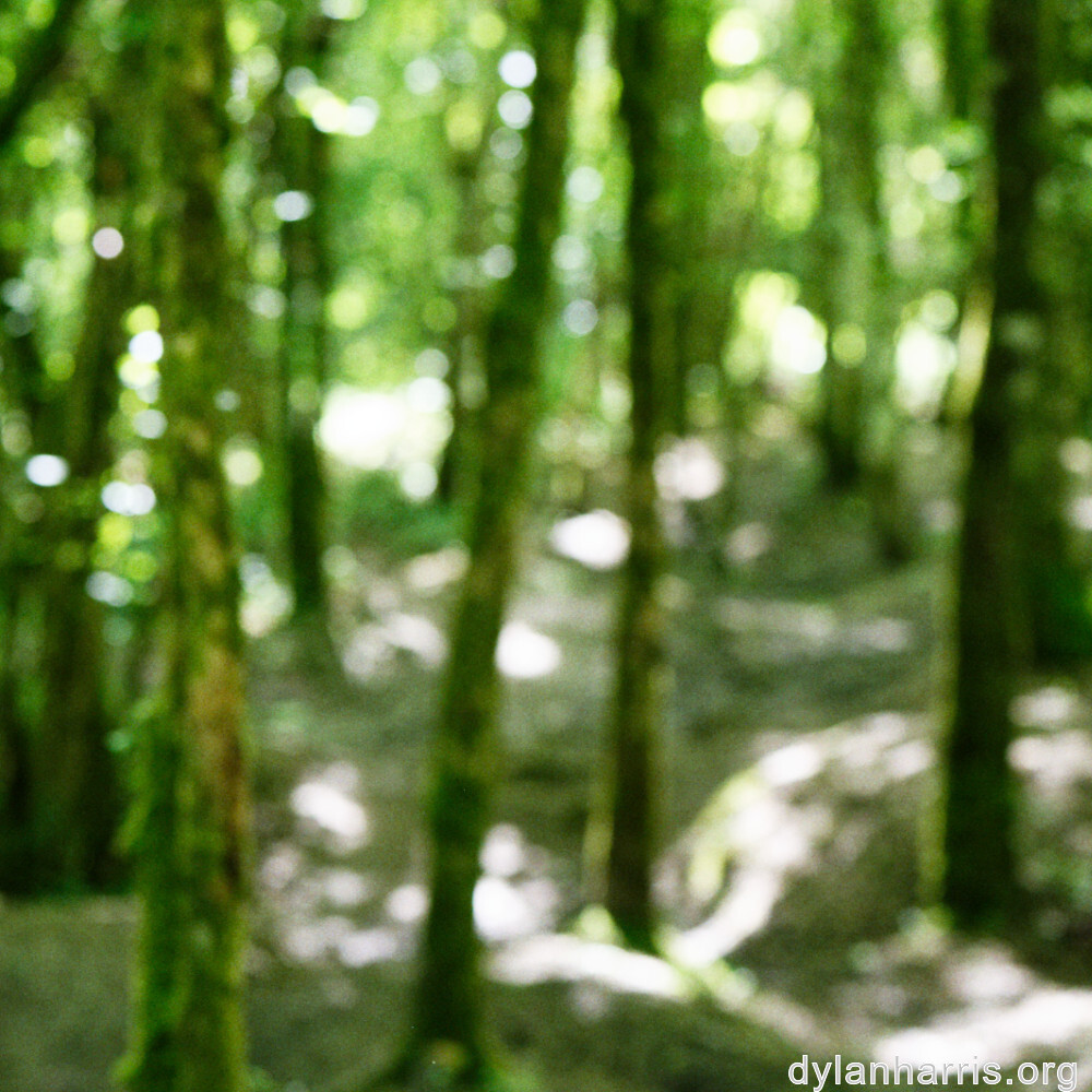 image: This is &lsquo;belvaux (vi) 6&rsquo;.