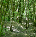 image: Image from the photoset &lsquo;belvaux (vi)&rsquo;.