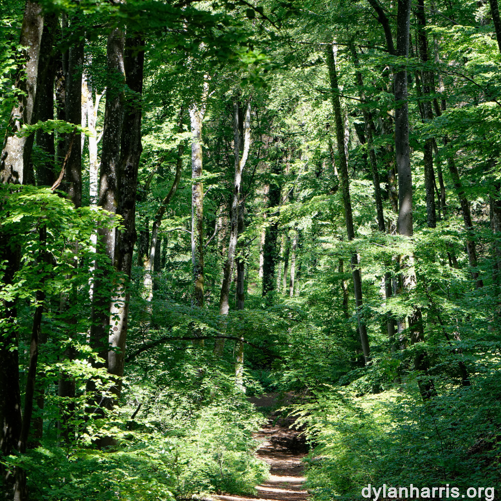 image: This is &lsquo;kayl 2&rsquo;.