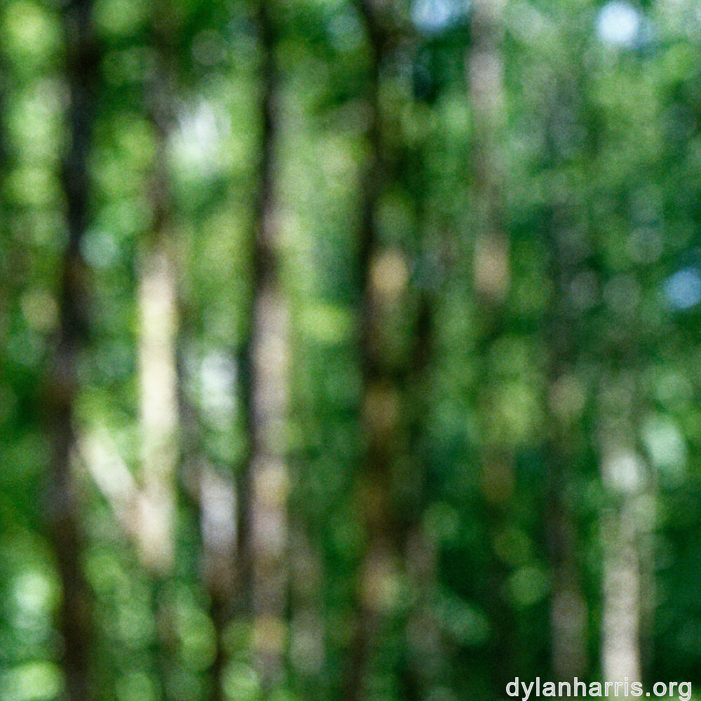 image: This is &lsquo;kayl 3&rsquo;.