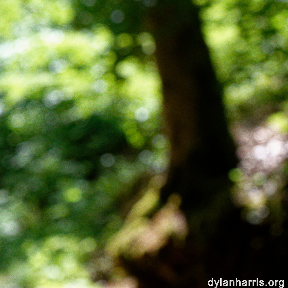 image: This is &lsquo;kayl 4&rsquo;.