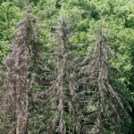 image: Image from the photoset &lsquo;kayl (i)&rsquo;.