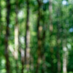 image: Image from the photoset &lsquo;kayl (i)&rsquo;.