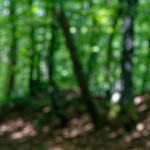 image: Image from the photoset &lsquo;kayl (i)&rsquo;.