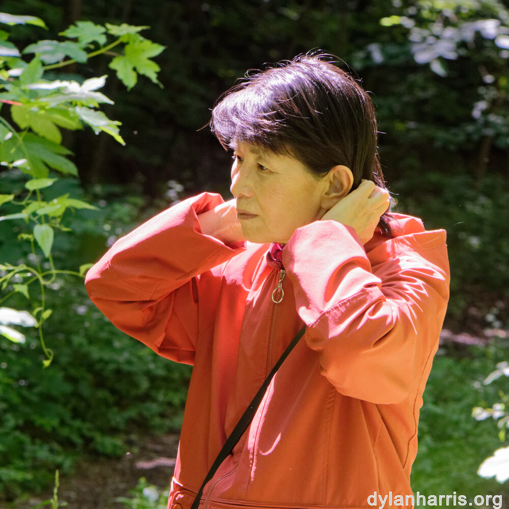 image: This is &lsquo;L (xxxiii) 1&rsquo;.