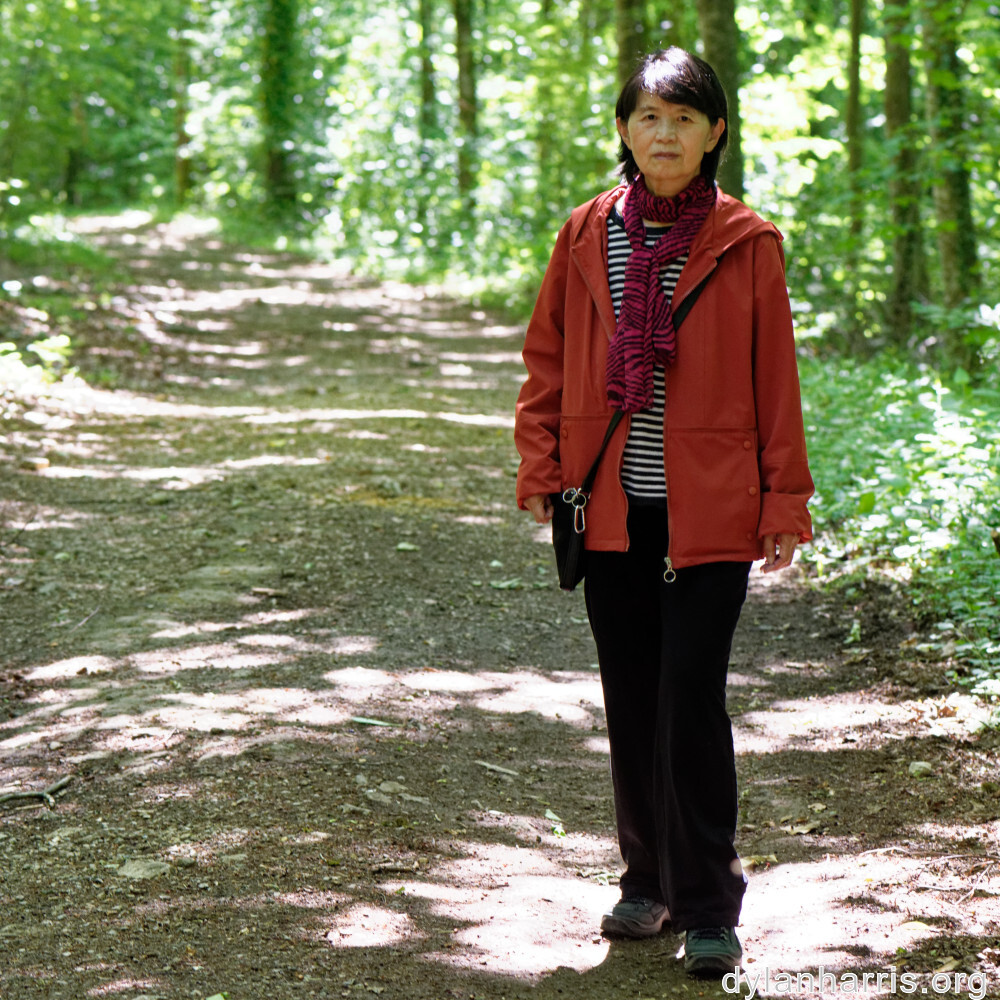 image: This is &lsquo;L (xxxiii) 3&rsquo;.