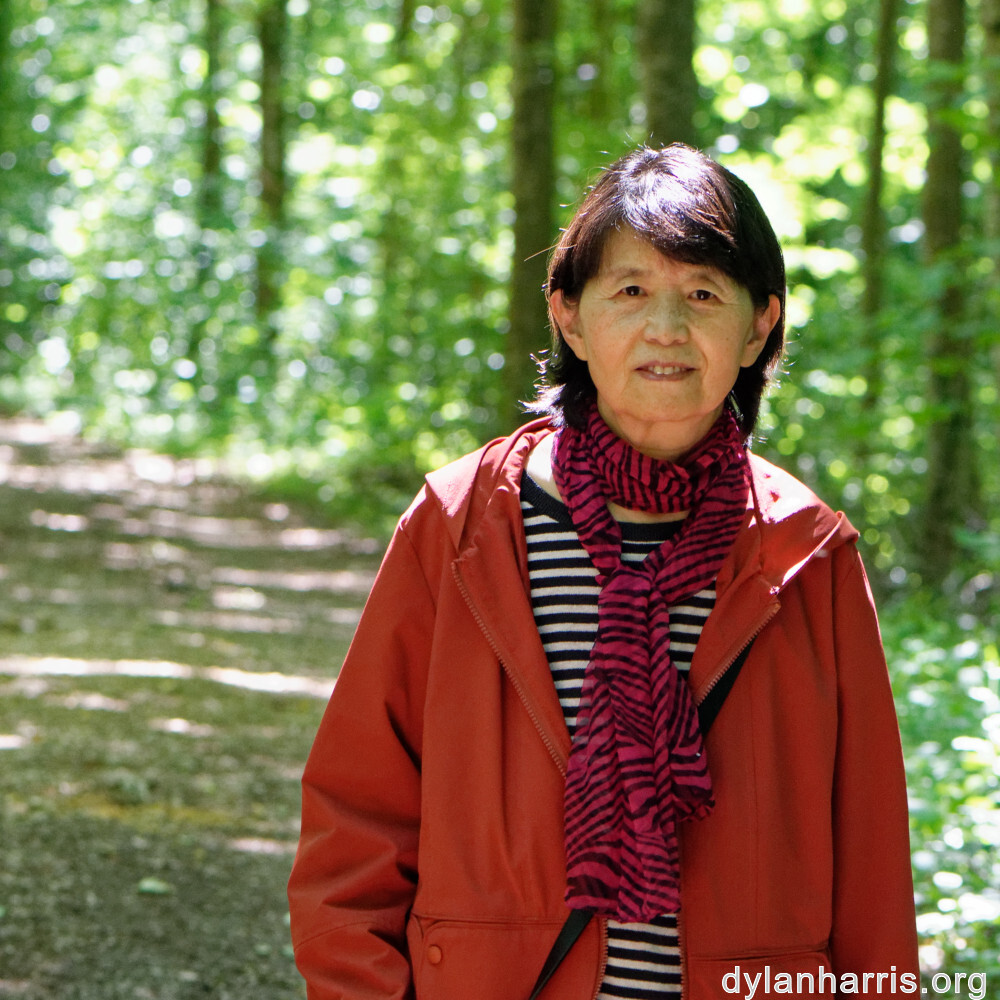 image: This is &lsquo;L (xxxiii) 4&rsquo;.