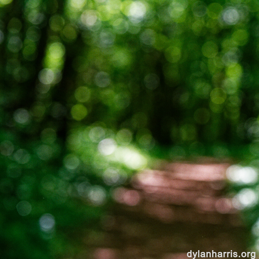 image: This is &lsquo;kayl 1&rsquo;.