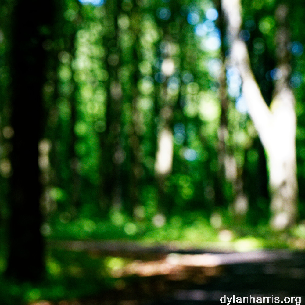 image: This is &lsquo;kayl 2&rsquo;.