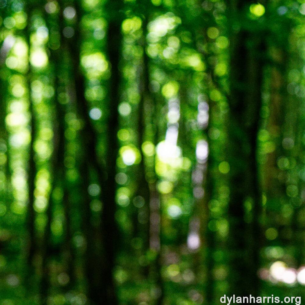 image: This is &lsquo;kayl 3&rsquo;.