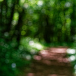 image: Image from the photoset &lsquo;kayl (ii)&rsquo;.