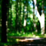 image: Image from the photoset &lsquo;kayl (ii)&rsquo;.