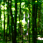 image: Image from the photoset &lsquo;kayl (ii)&rsquo;.