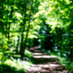 image: Image from the photoset &lsquo;kayl (ii)&rsquo;.