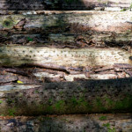 image: Image from the photoset &lsquo;kayl (ii)&rsquo;.