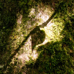 image: Image from the photoset &lsquo;kayl (ii)&rsquo;.