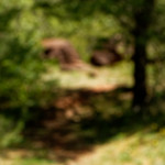 image: Image from the photoset &lsquo;kayl (iii)&rsquo;.