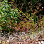 image: Image from the photoset &lsquo;kayl (iii)&rsquo;.