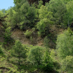 image: Image from the photoset &lsquo;kayl (iii)&rsquo;.