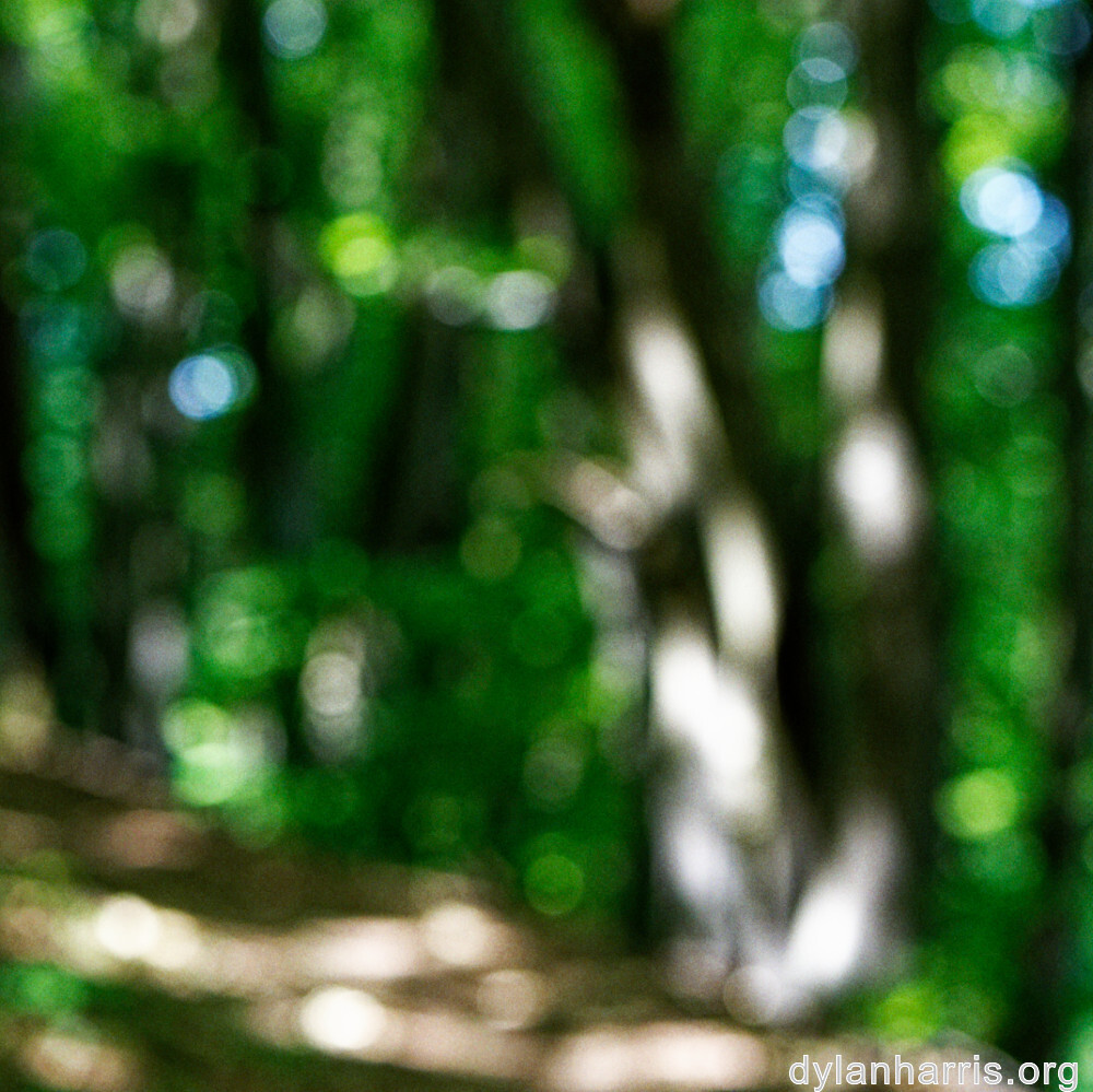 image: This is &lsquo;rumelange 1&rsquo;.