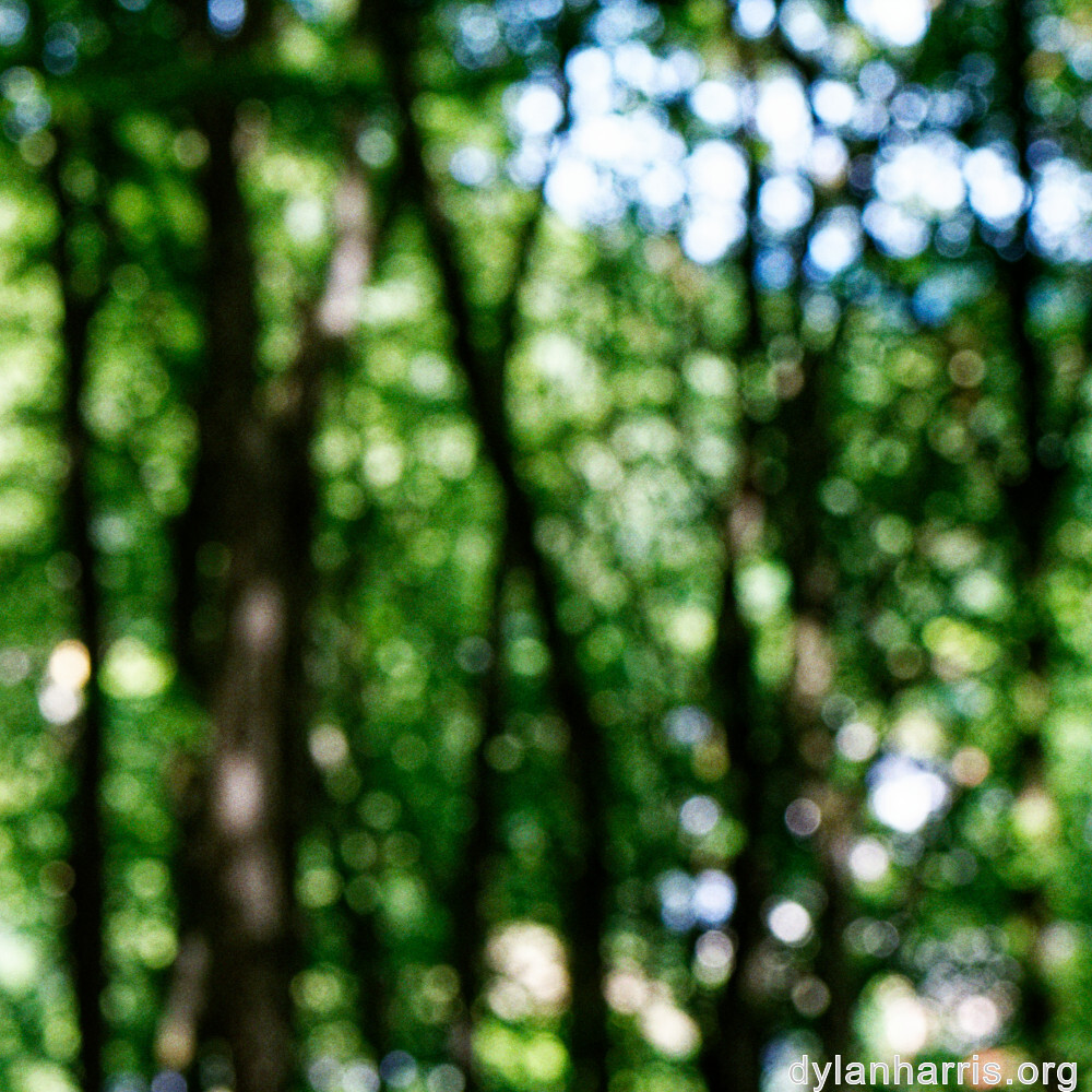 image: This is &lsquo;rumelange 3&rsquo;.