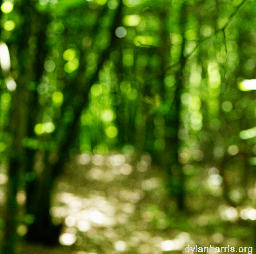 image: This is &lsquo;rumelange 4&rsquo;.