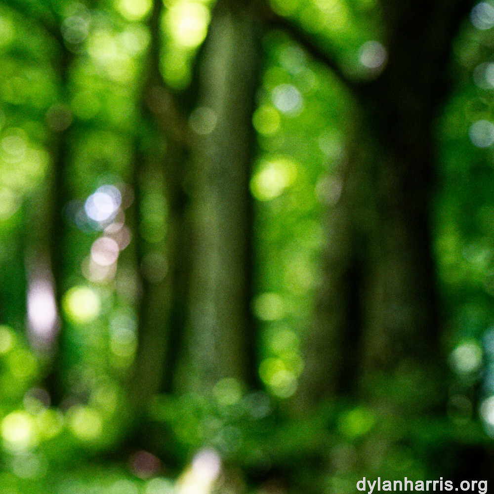 image: This is &lsquo;rumelange 6&rsquo;.