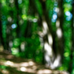 image: Image from the photoset &lsquo;rumelange (i)&rsquo;.