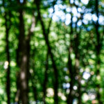 image: Image from the photoset &lsquo;rumelange (i)&rsquo;.