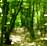 image: Image from the photoset &lsquo;rumelange (i)&rsquo;.