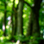 image: Image from the photoset &lsquo;rumelange (i)&rsquo;.