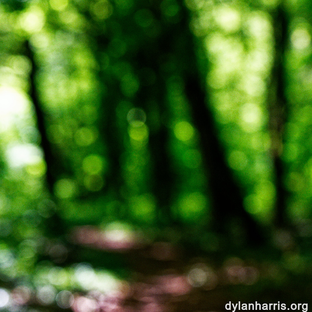 image: This is &lsquo;rumelange 1&rsquo;.