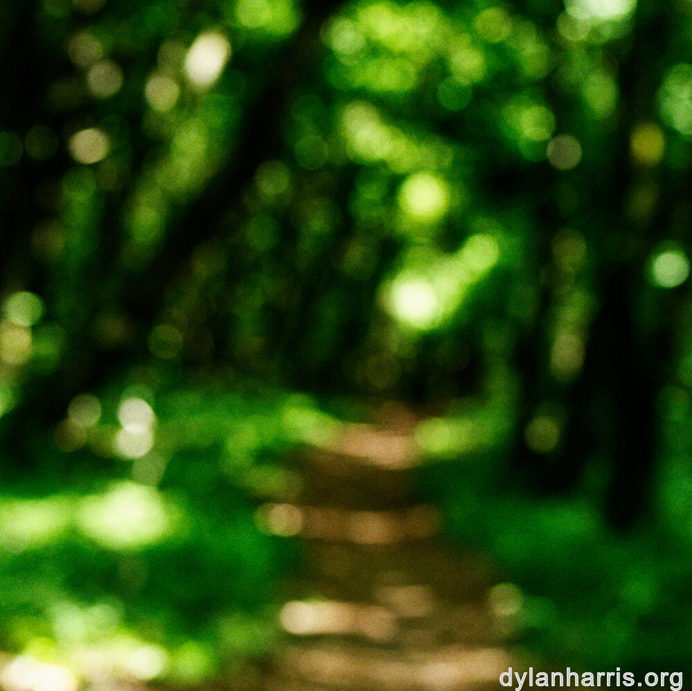 image: This is &lsquo;rumelange 2&rsquo;.