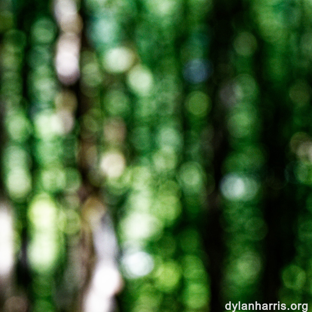 image: This is &lsquo;rumelange 3&rsquo;.