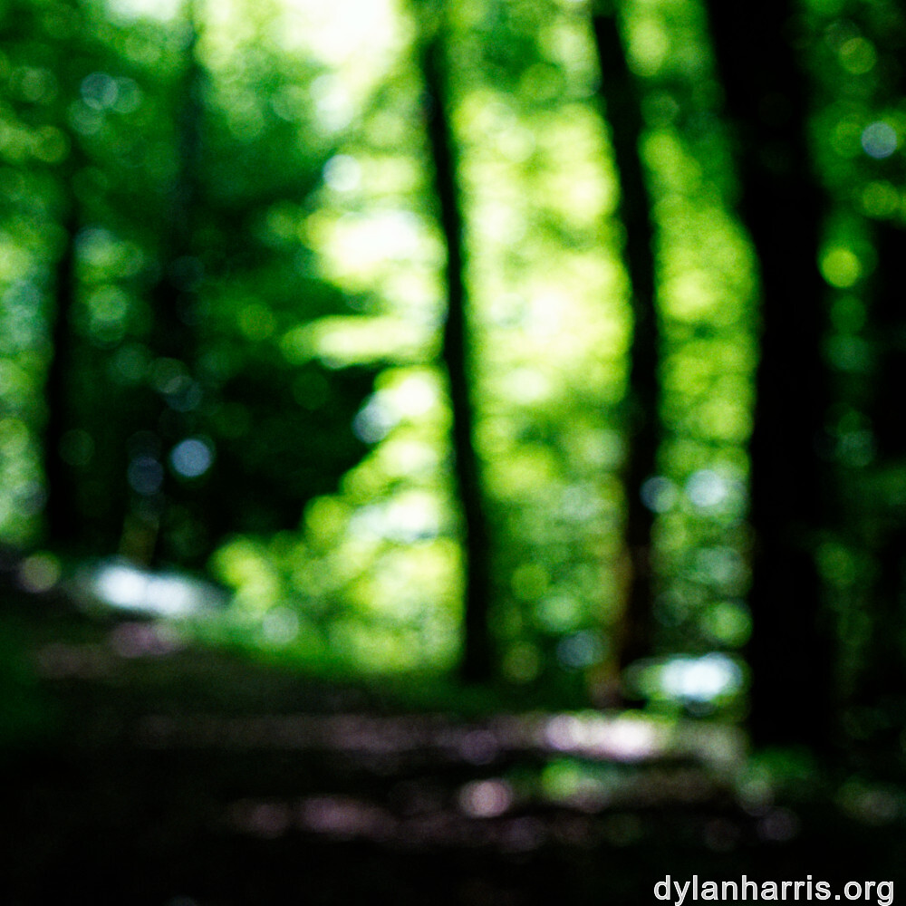 image: This is &lsquo;rumelange 4&rsquo;.