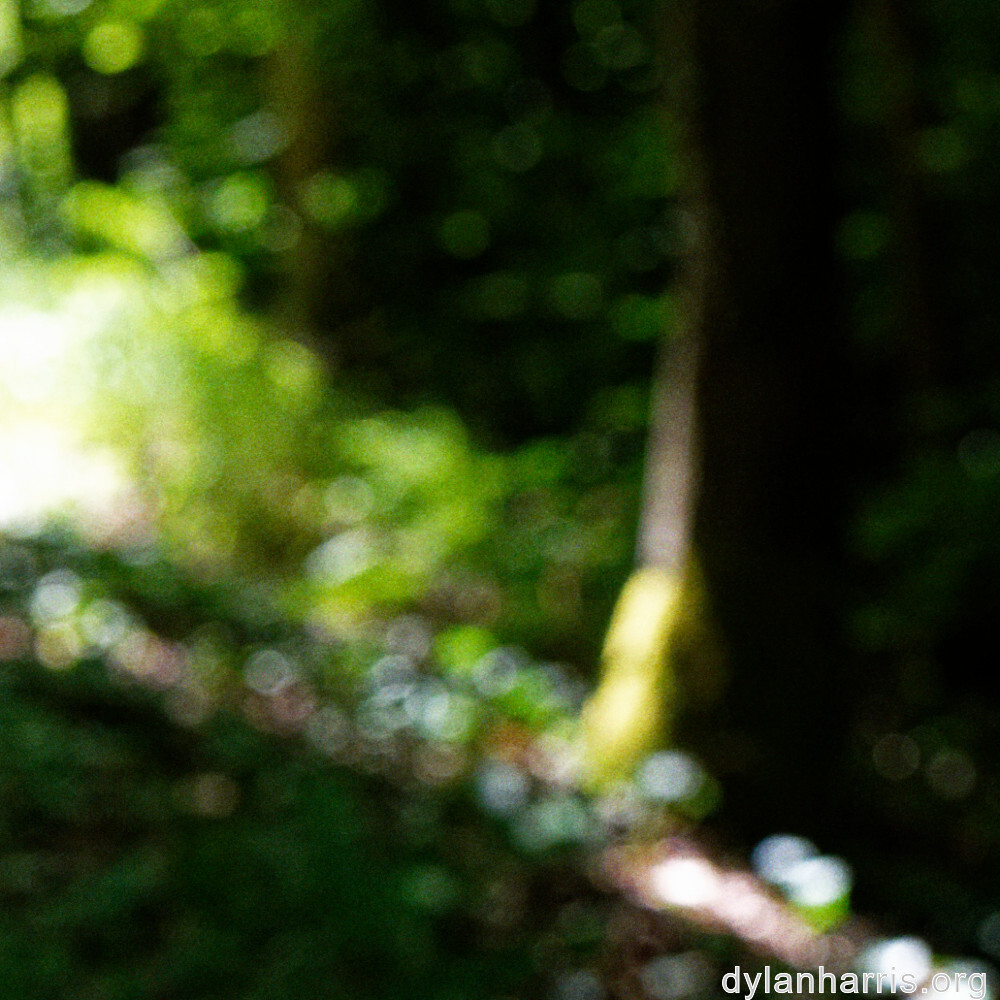 image: This is &lsquo;rumelange 5&rsquo;.