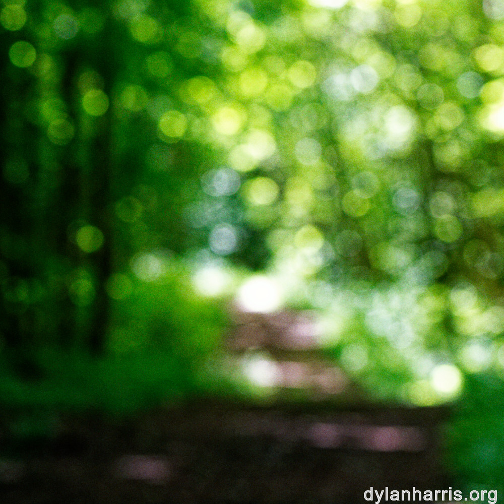 image: This is &lsquo;rumelange 6&rsquo;.