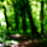 image: Image from the photoset &lsquo;rumelange (ii)&rsquo;.