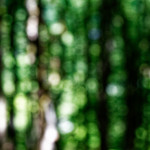 image: Image from the photoset &lsquo;rumelange (ii)&rsquo;.