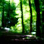 image: Image from the photoset &lsquo;rumelange (ii)&rsquo;.